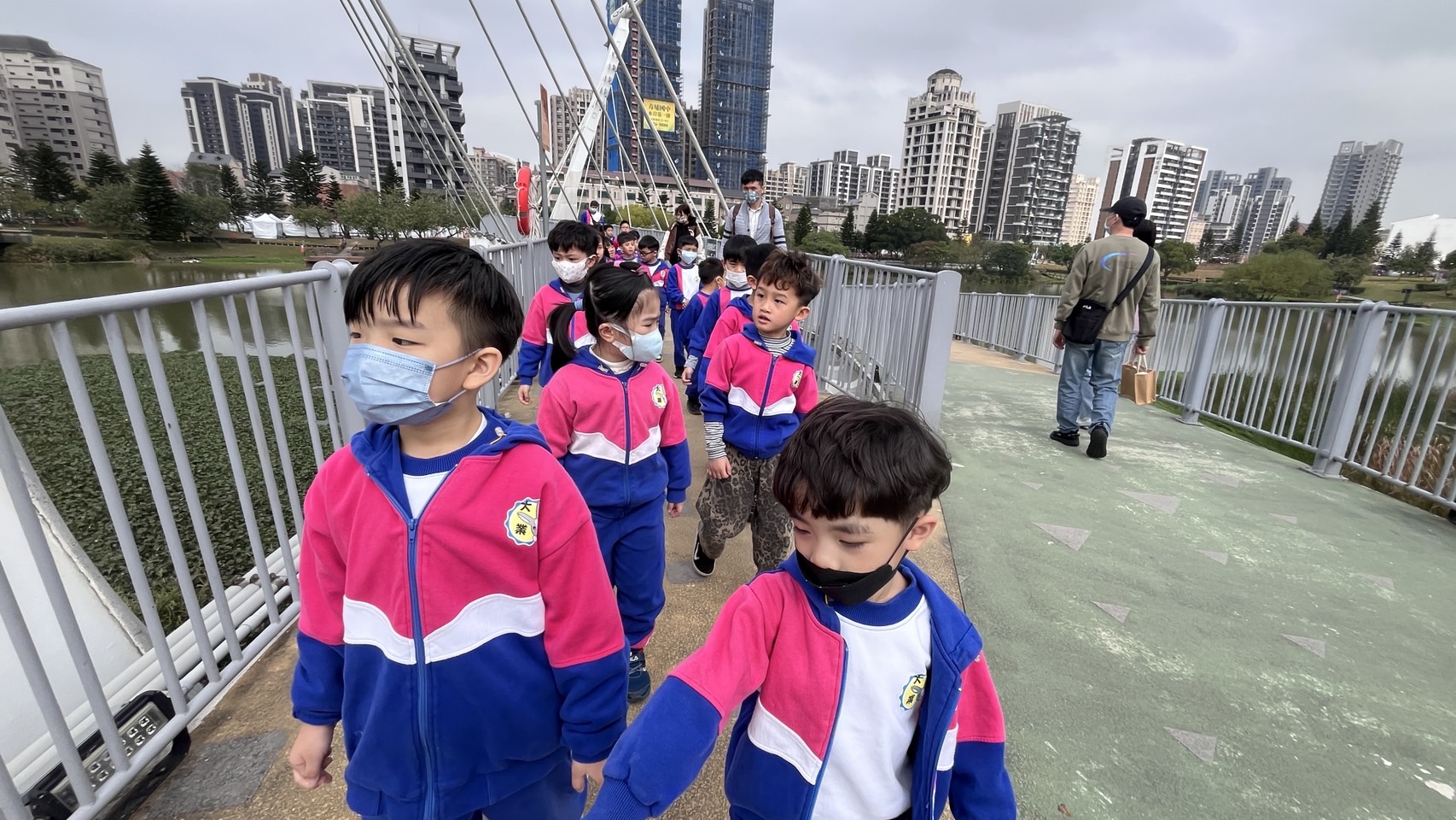 113(下)台灣燈會藝起看(孔雀、斑馬)