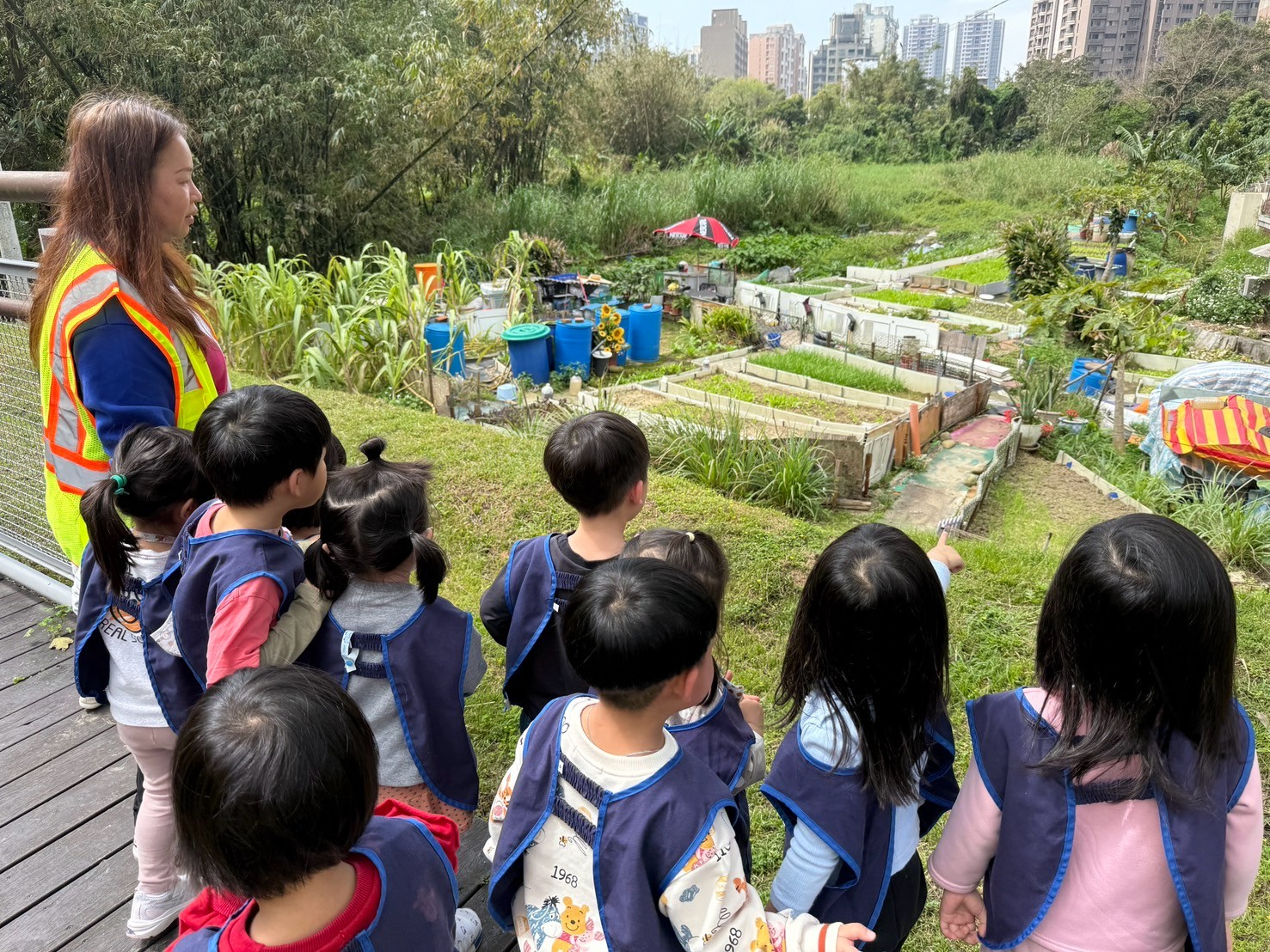 113(下)花兒在哪裡?