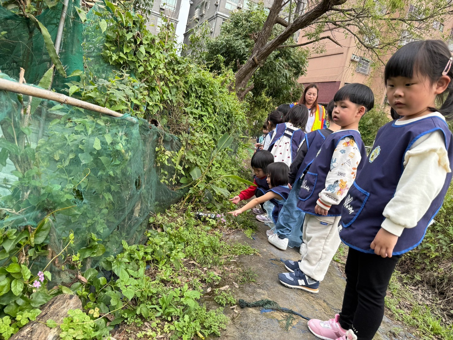 113(下)花兒在哪裡?