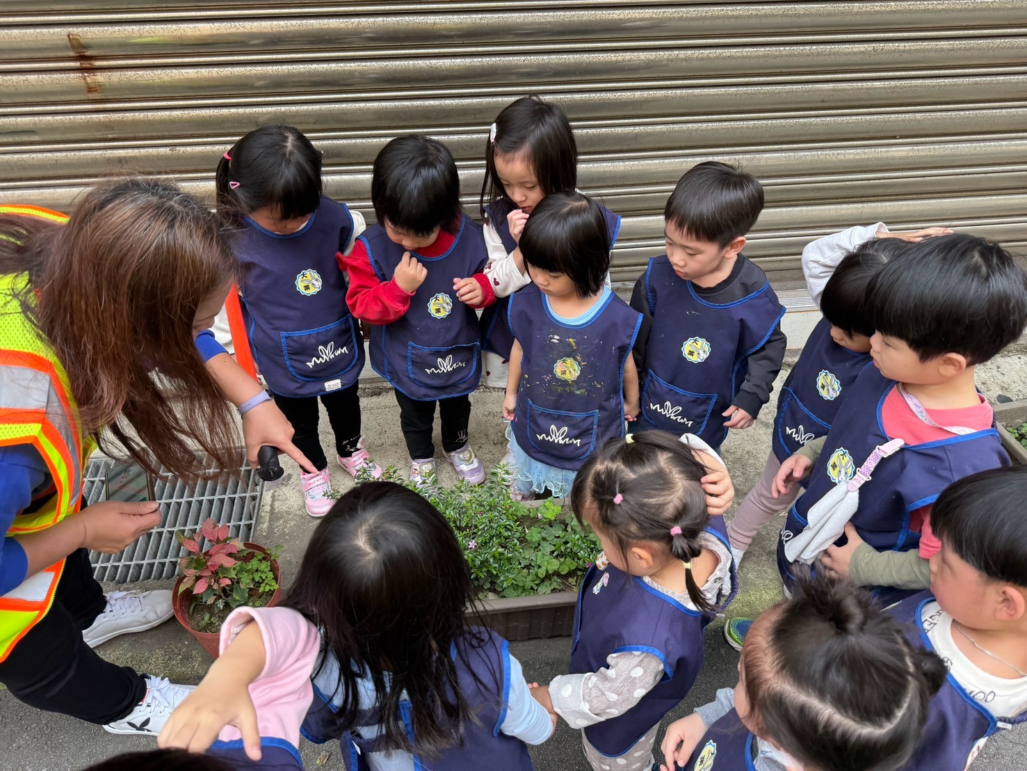 113(下)花兒在哪裡?