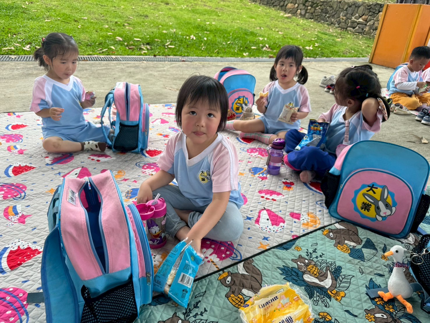 113(下)大象南昌公園野餐趣