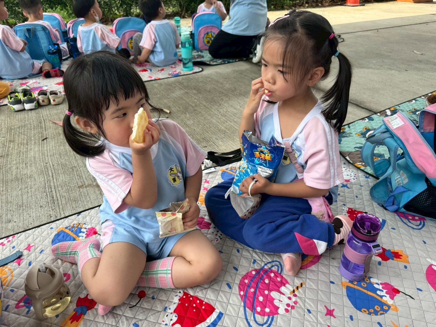 113(下)大象南昌公園野餐趣